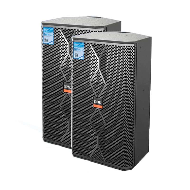 Loa CAF TW-10