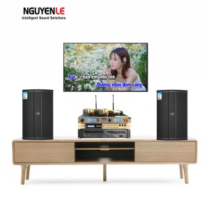 Dàn karaoke gia đình NLA 19 