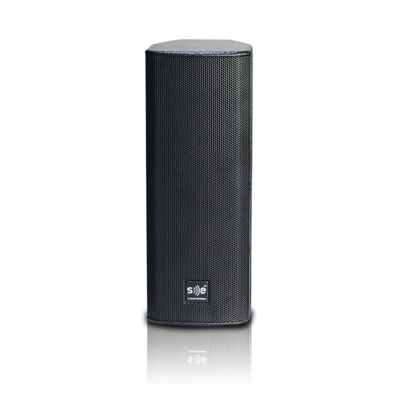 Loa SE-Audiotechnik M-242G2