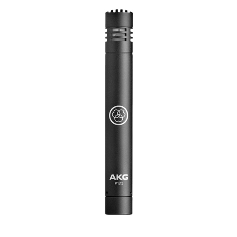 Micro AKG P170