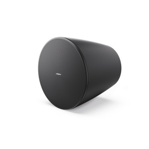 Loa Bose DesignMax DM10P-SUB