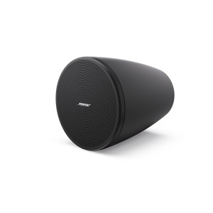 Loa Bose DesignMax DM3P