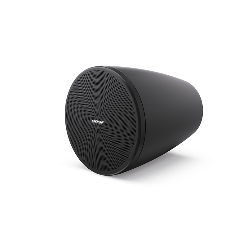 Loa Bose DesignMax DM3P