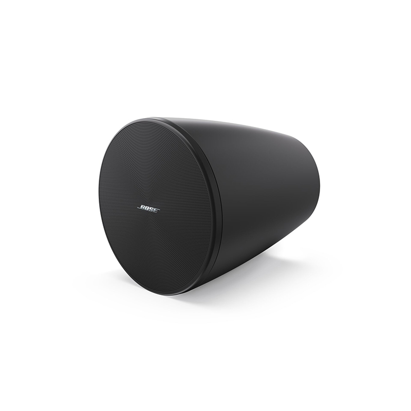 Loa Bose DesignMax DM5P