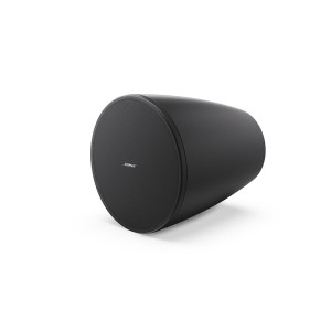 Loa Bose DesignMax DM6PE