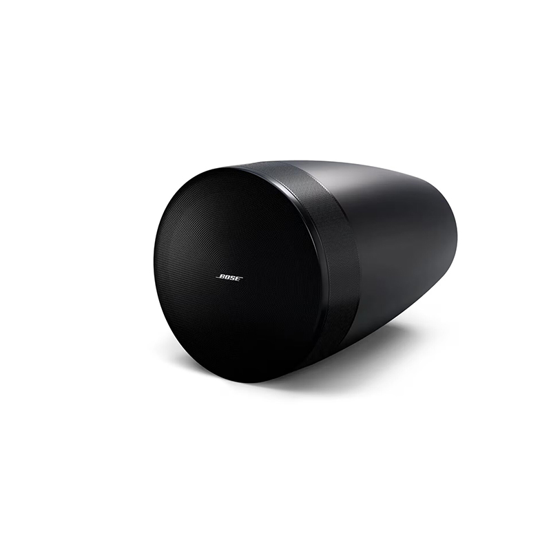 Loa Bose DesignMax Luna DML88P