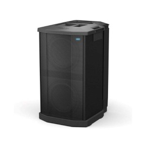 Loa Bose F1 Subwoofer Chính Hãng