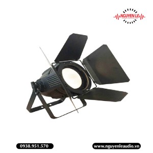 Đèn Par LED COB 100W